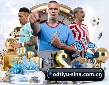 独立体坛观察与深度专栏矩阵 - ODSPORTS